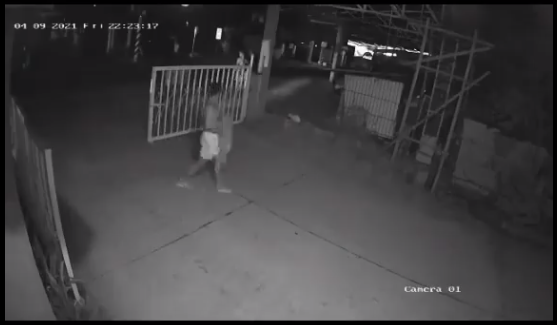 Midnight Run