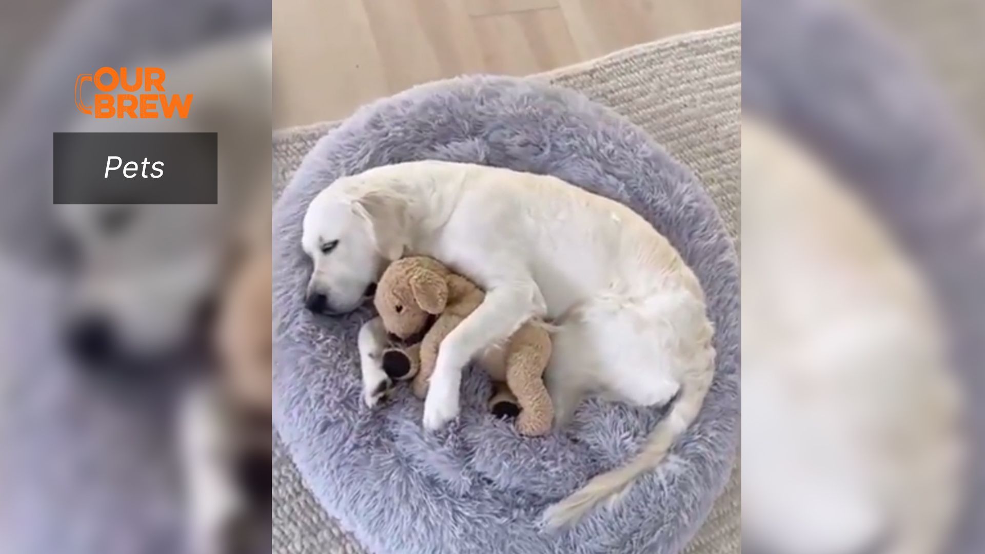 Run, Sleep, Repeat