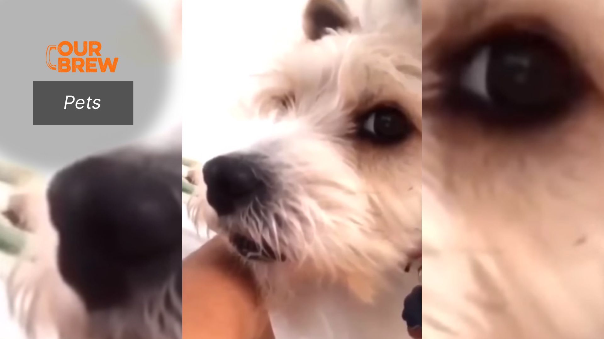 That Look. Precious