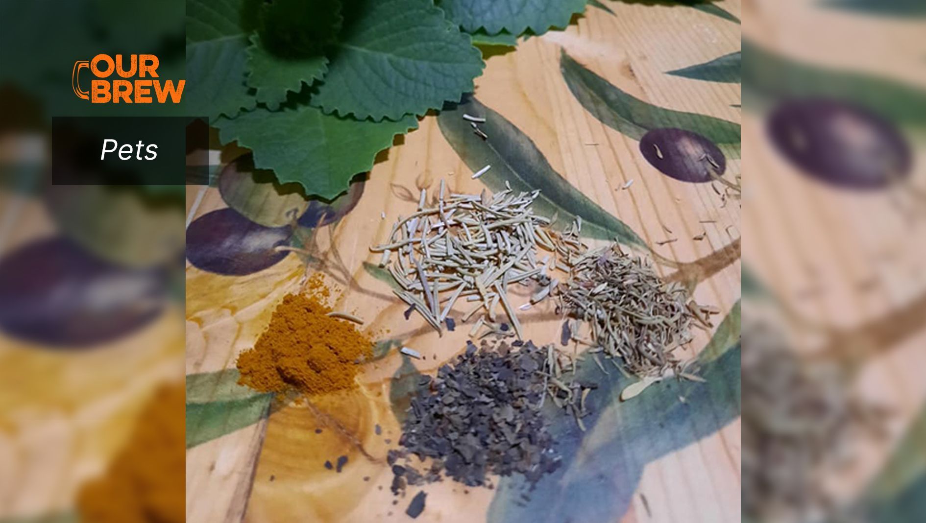 Herbs Can Prevent and Treat Some Pet Illnesses