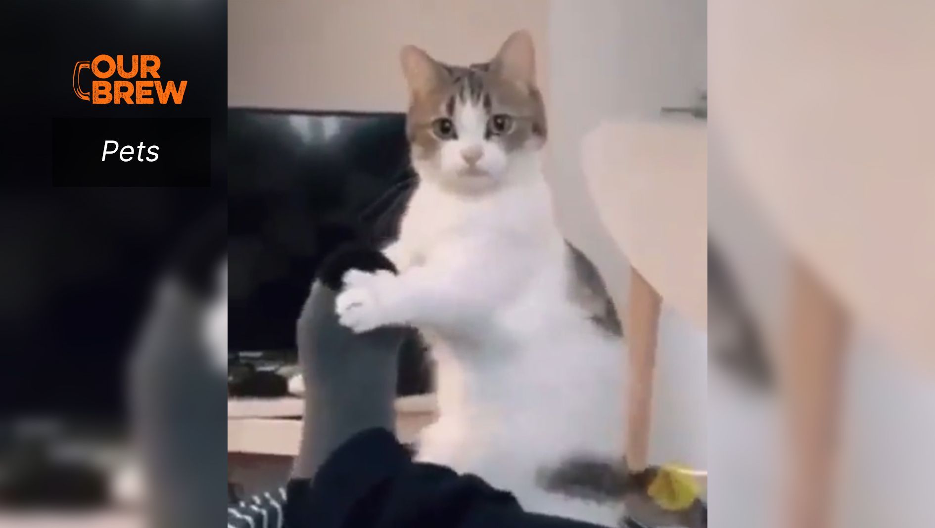Hey, You!