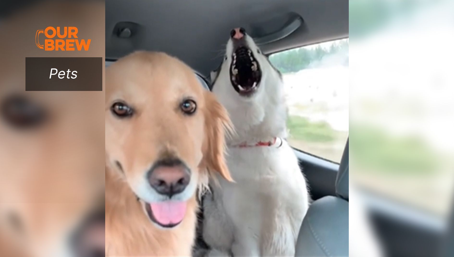 Are We There Yet?