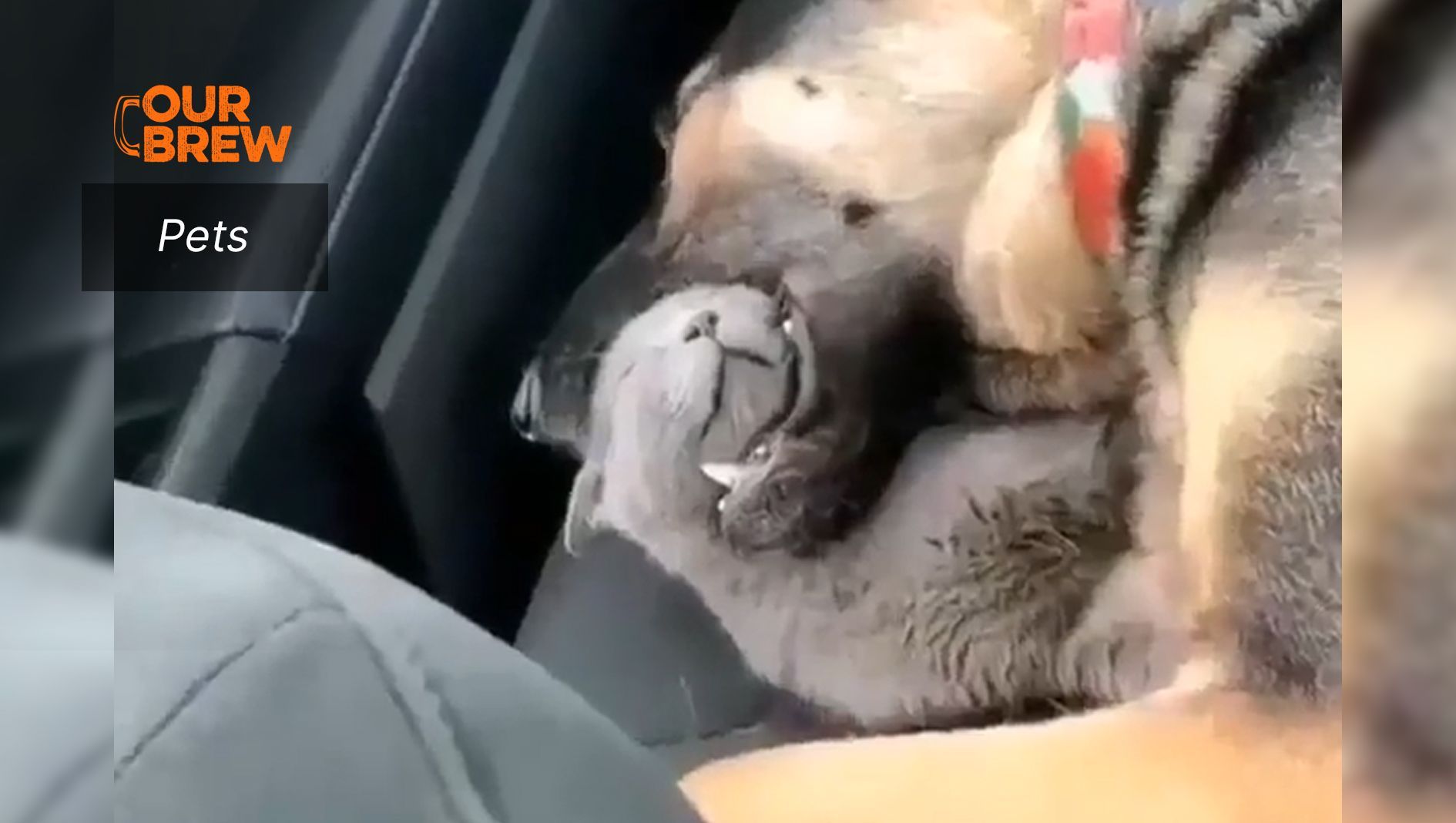 Do Not Disturb