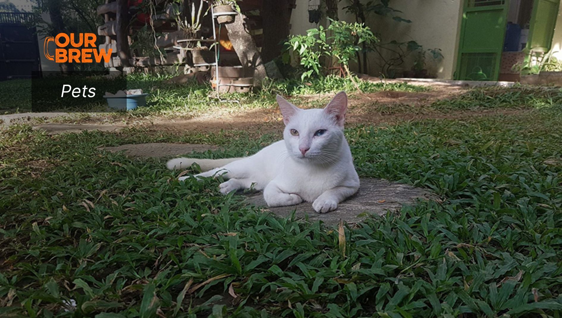 For Healthy Pets, 
Store Their Food Well