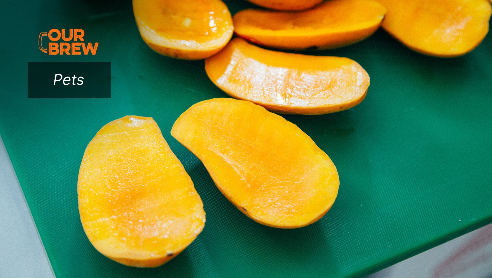 Vitamin A-Rich Mango is Safe for Dogs