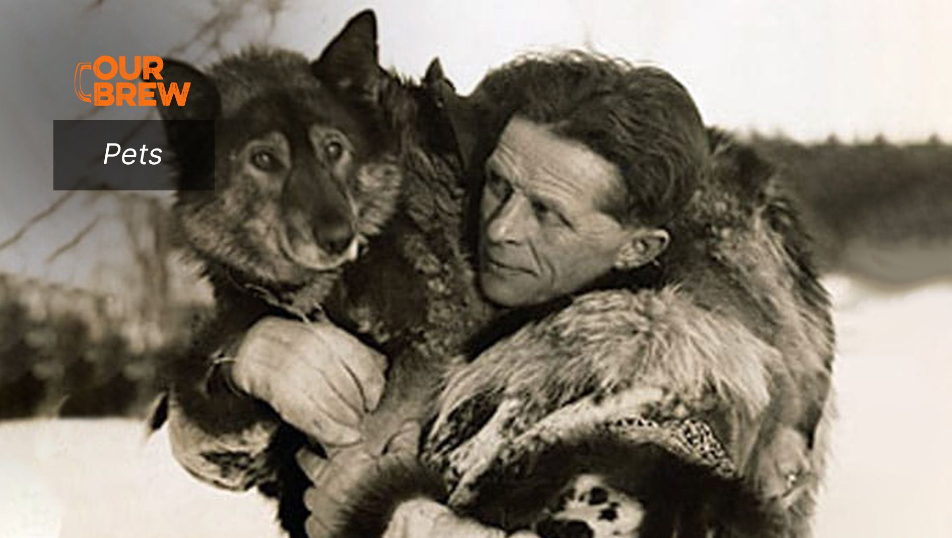 Are Animals Conscious Beings like Humans?