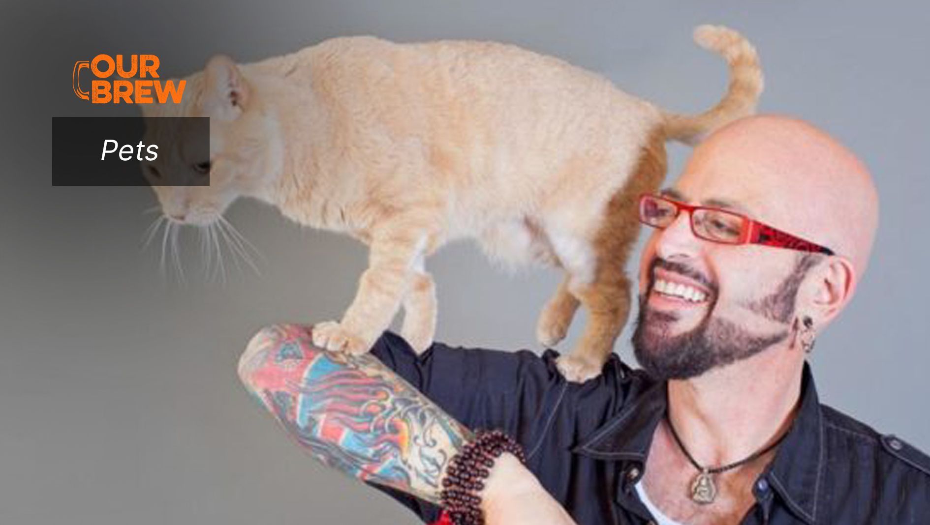 If your Pets Could Talk, They’d Say…