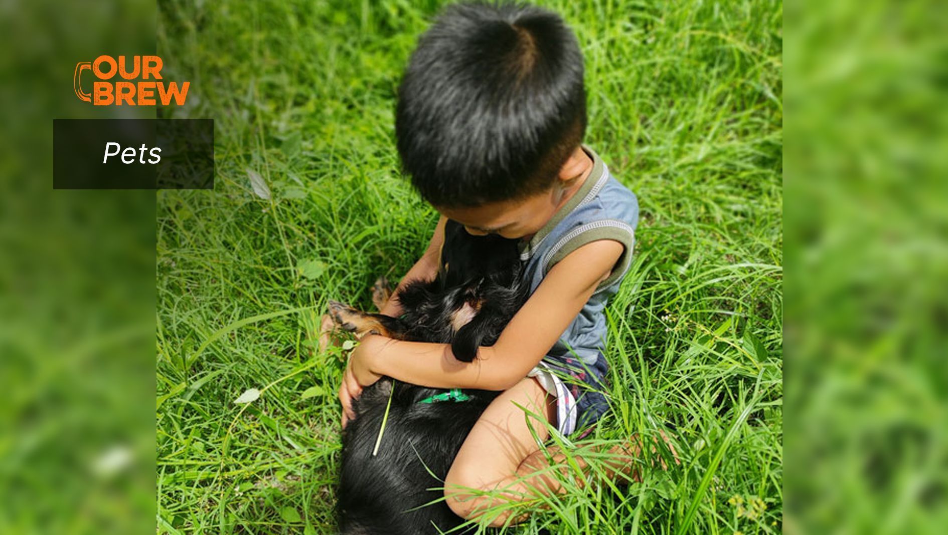 Animal Welfare Education for Kids Can Prevent Animal and Human Abuse