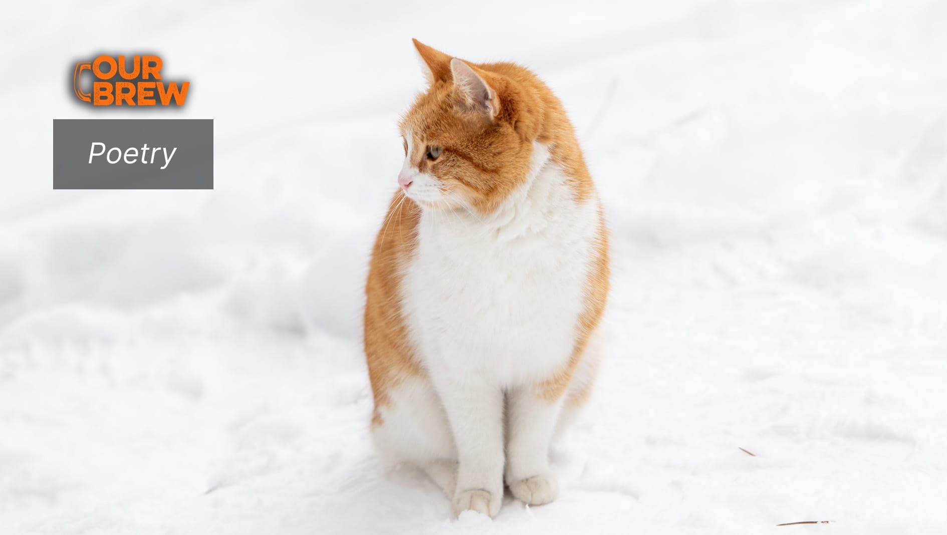 First Snow