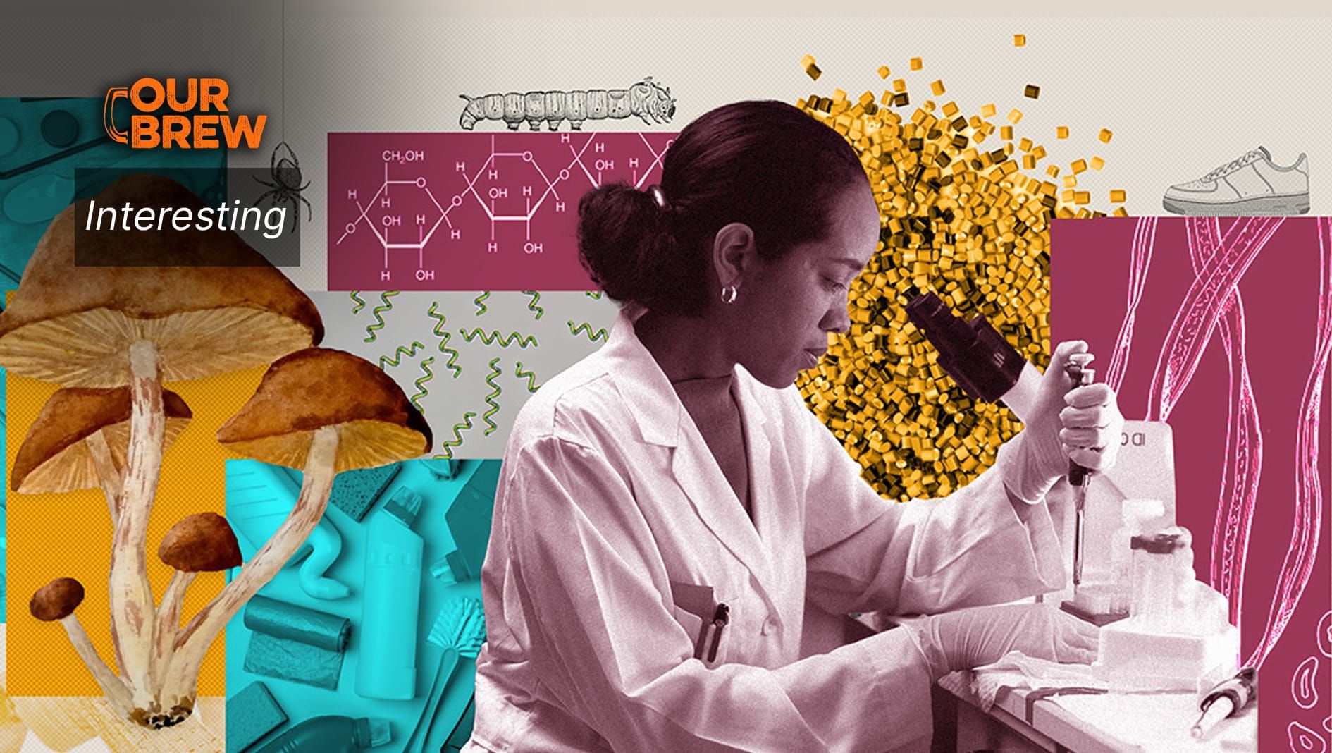 Toward Truly Compostable Plastic