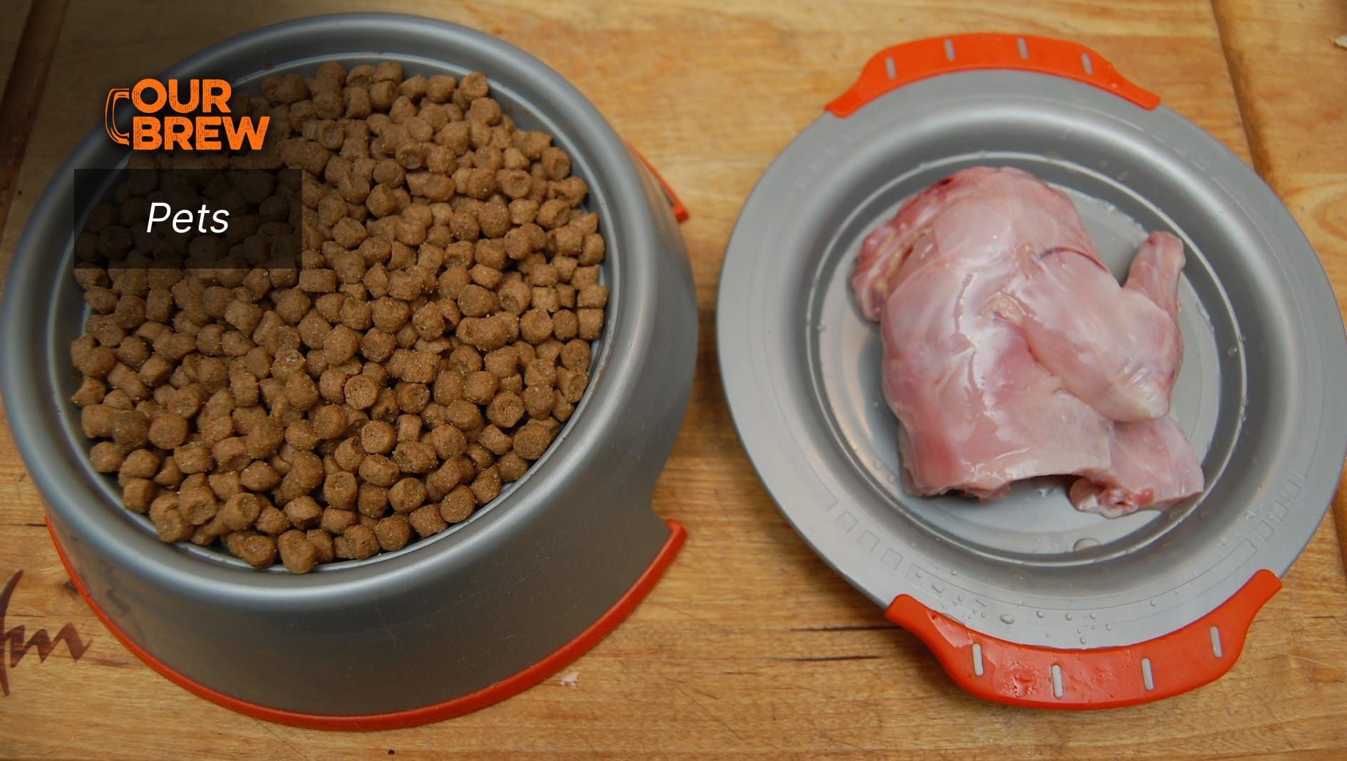 Raw Meat Vs. Cooked Meat: What is Best for Your Dog?