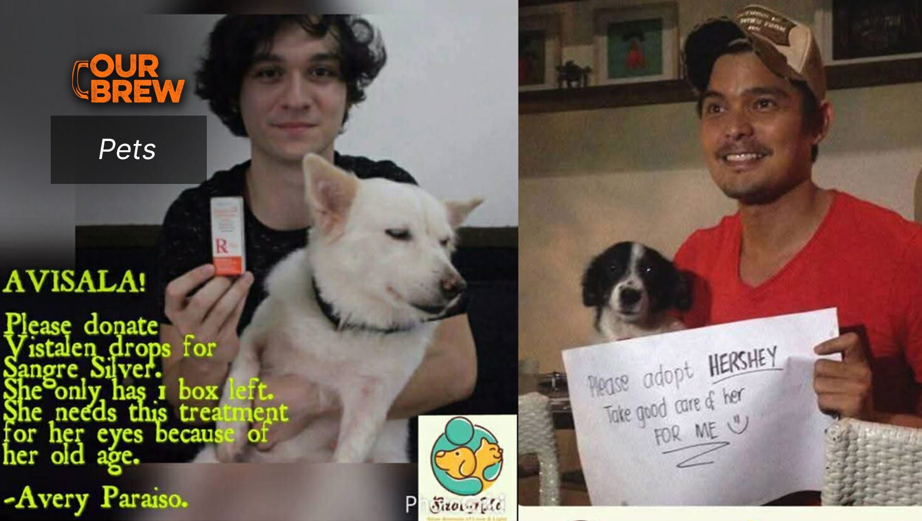 Everyone Can Save a Life: Rescue, Spay, Feed a Stray