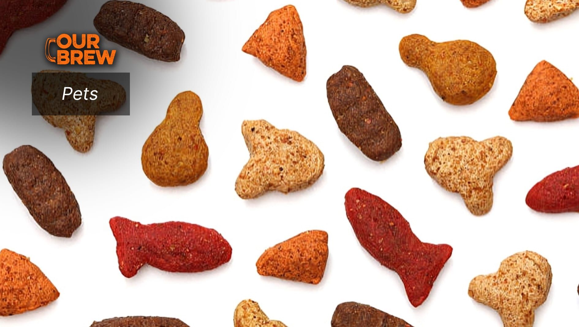 Making Homemade Treats for Your Cat: A Comprehensive Guide With Easy Recipes