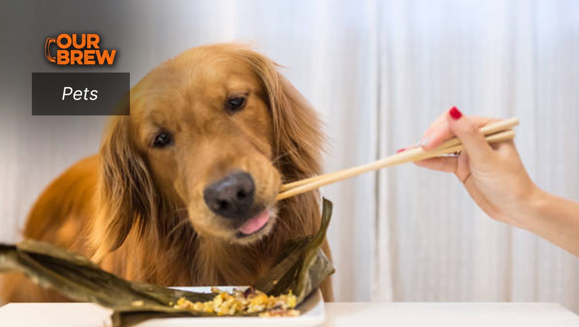Chicken Entrails and Guts for Pets