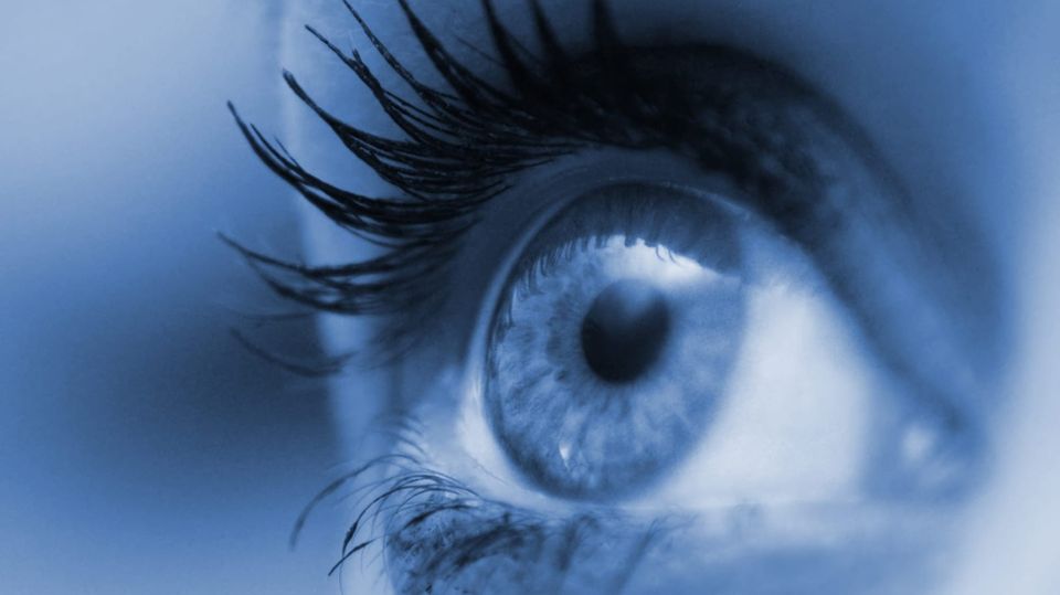 Macular Degeneration