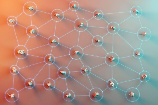 Zentanetwork - developed for offline communication 👨‍🚀