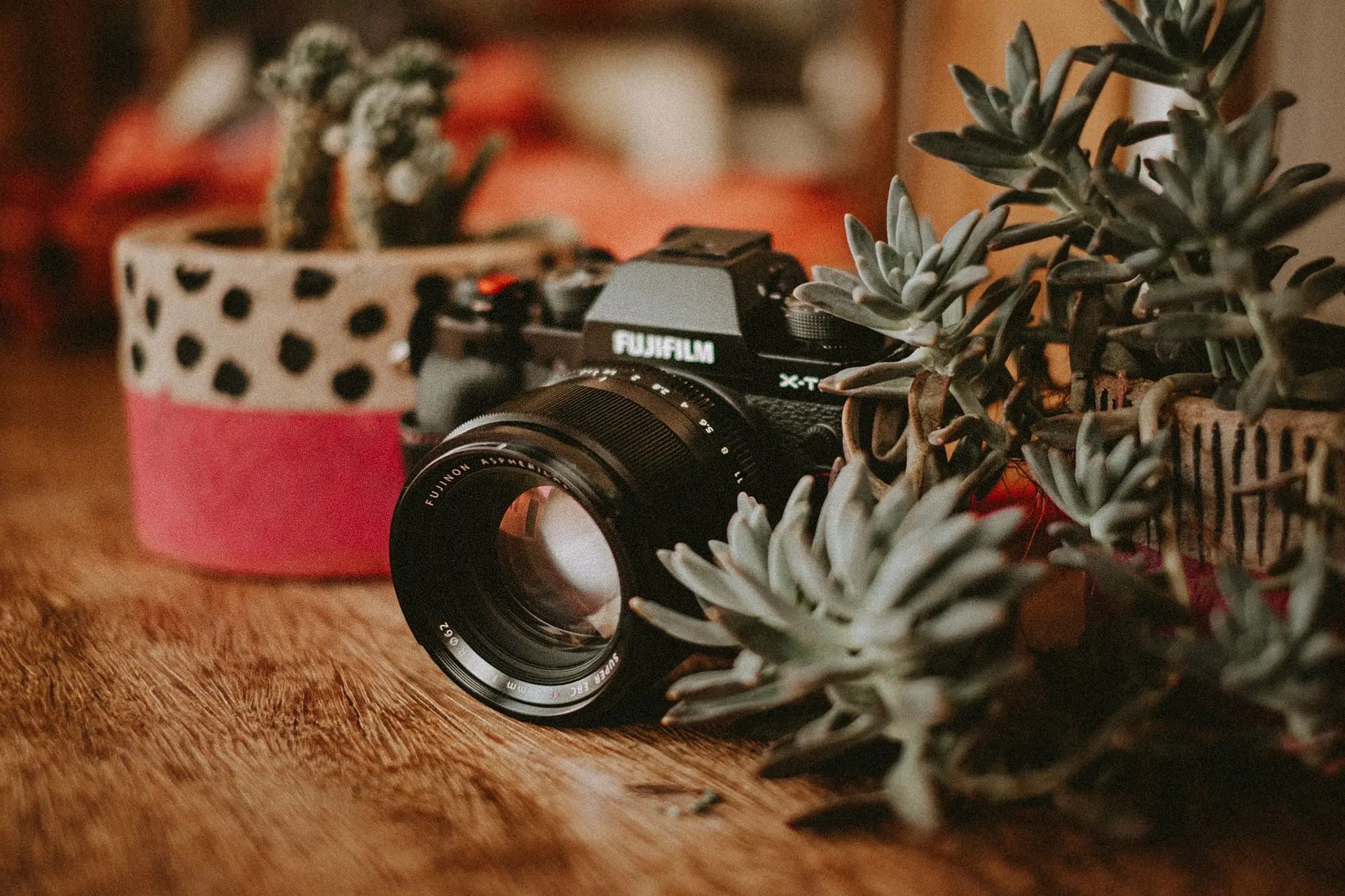 Câmeras Mirrorless: Conheça as vantagens em relação às DSLRs