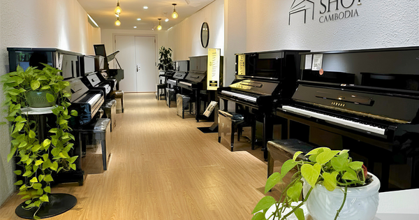 Yamaha or Kawai? Which one is better?
