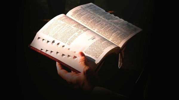 Sugestões de Pautas - Marília César - 28/10/2024