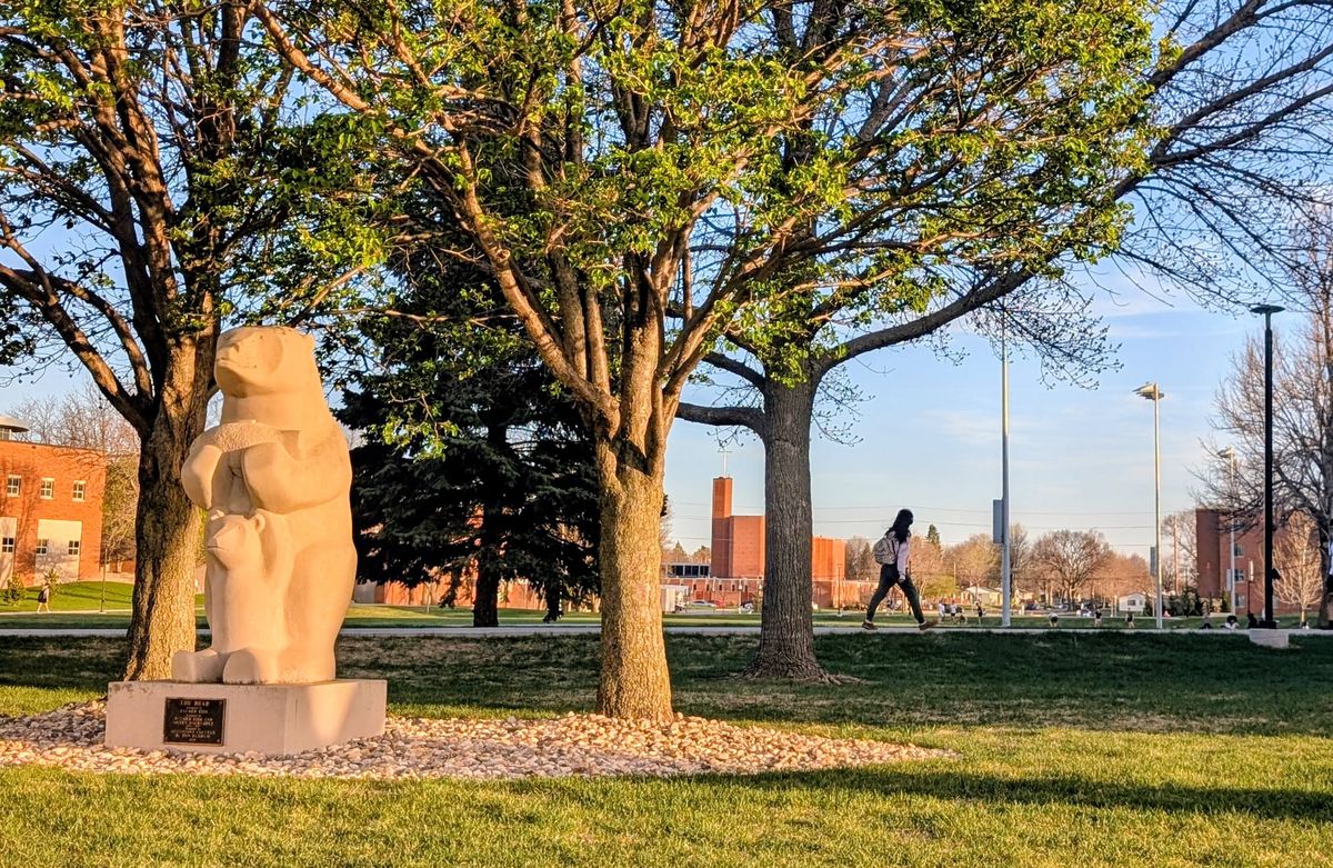 Augustana seeks landscaping help amid campus beautification push