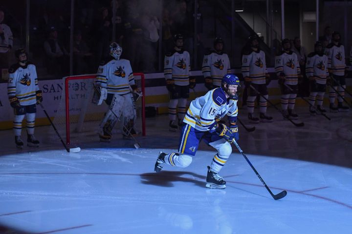 Hockey team closes out inaugural season