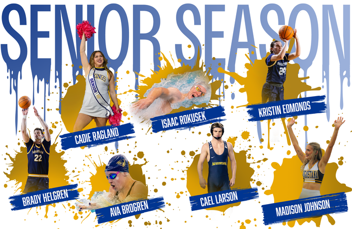 Vikings in the spotlight