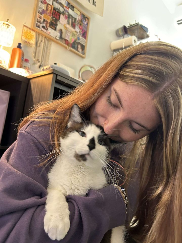 Cats make everything better