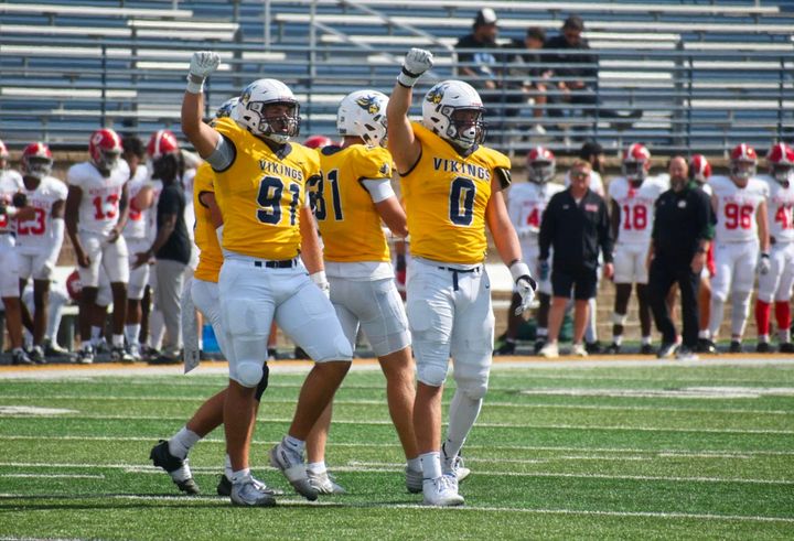 Vikings find their footing with two straight home victories