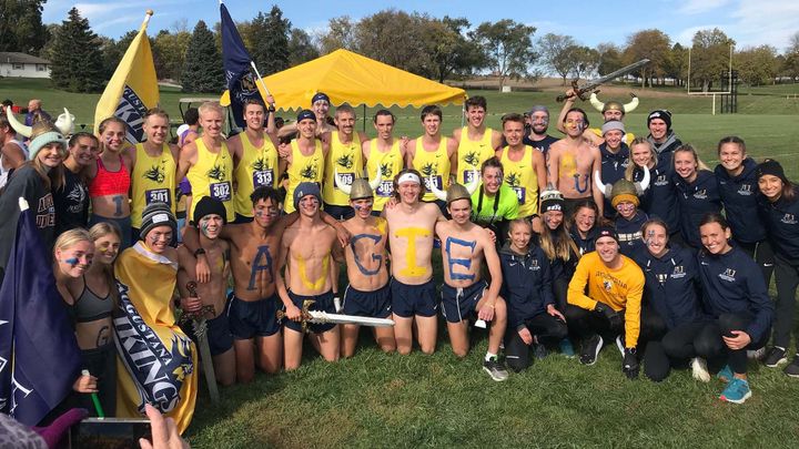 Cross country sweeps NSIC