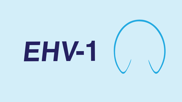 Going viral: the equine herpesvirus outbreak and Michigan's disease reporting tools