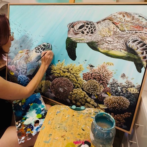 Studio Cat vs Sea Turtles