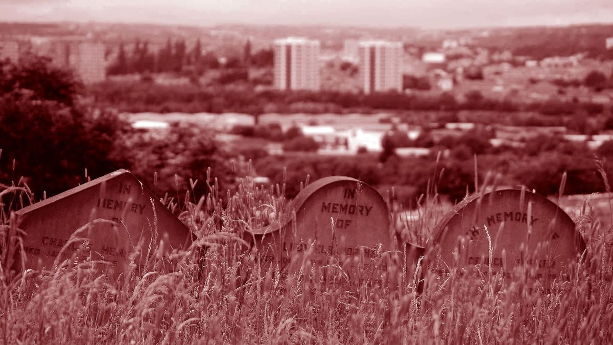 Three poems for Tony Harrison Post feature image