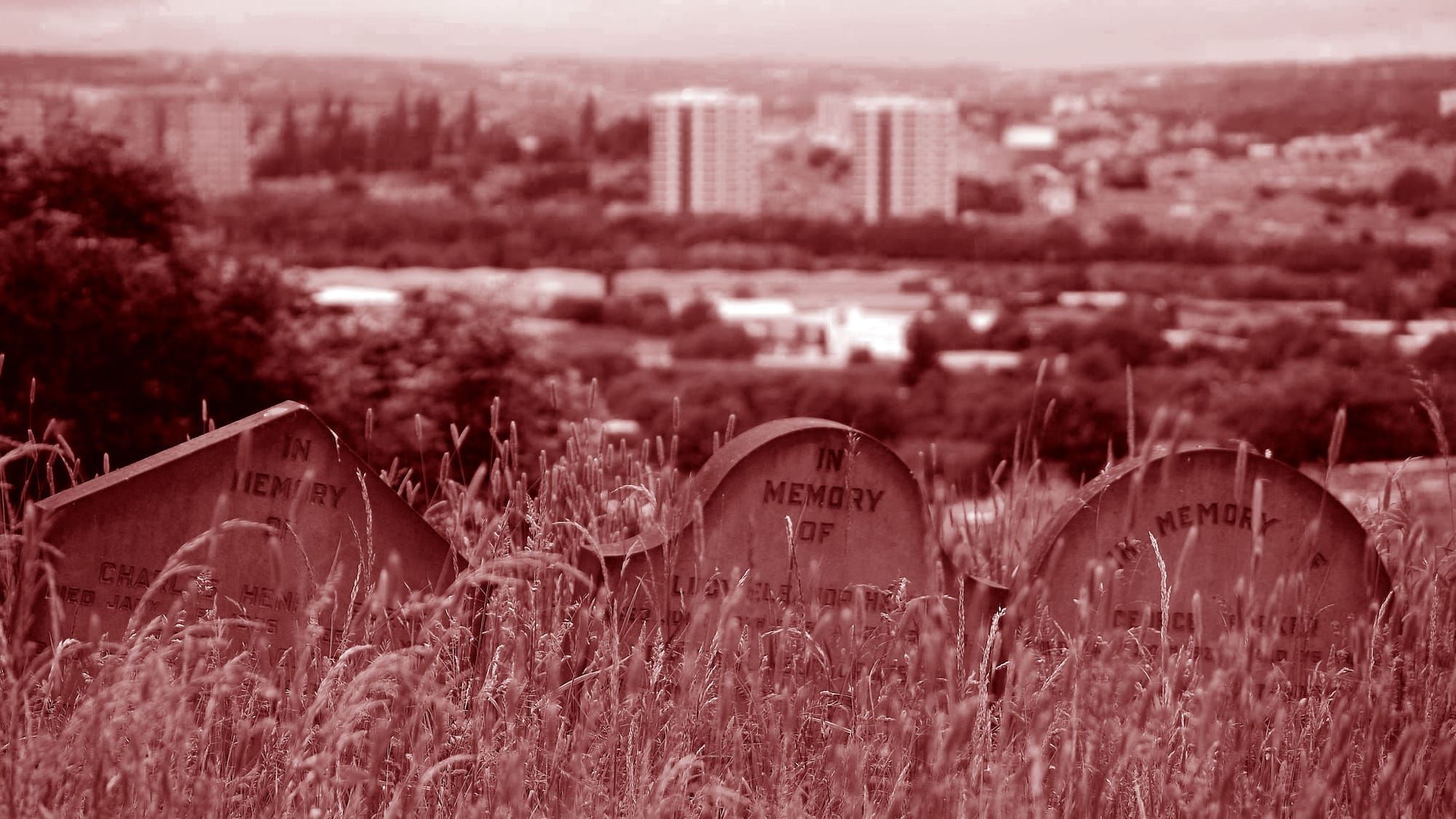 Three poems for Tony Harrison Post feature image