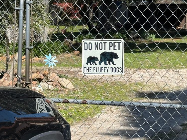 Pacific Crest Trail - Day 2