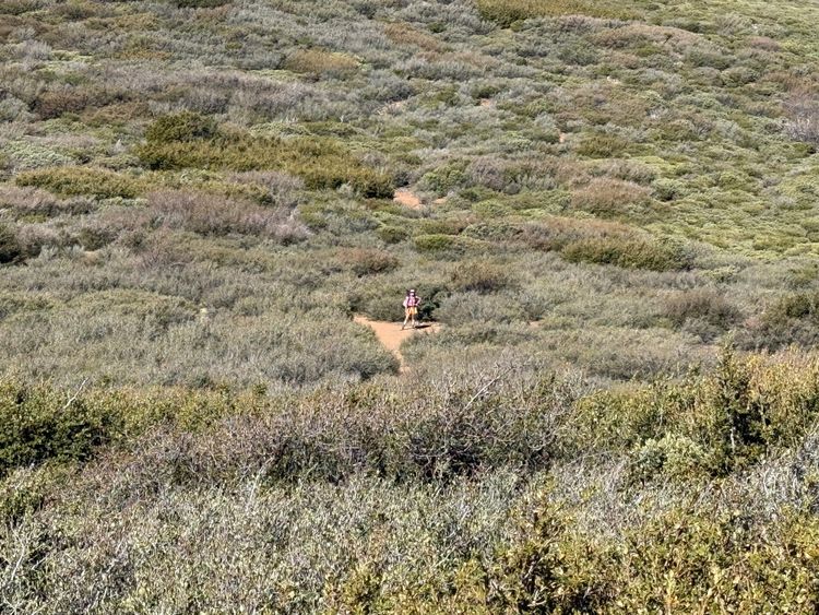 Pacific Crest Trail - Day 5