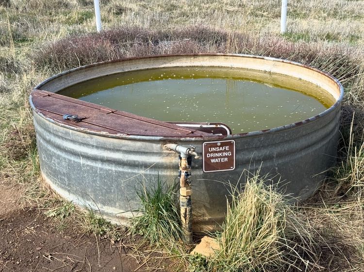 Pacific Crest Trail - Day 6