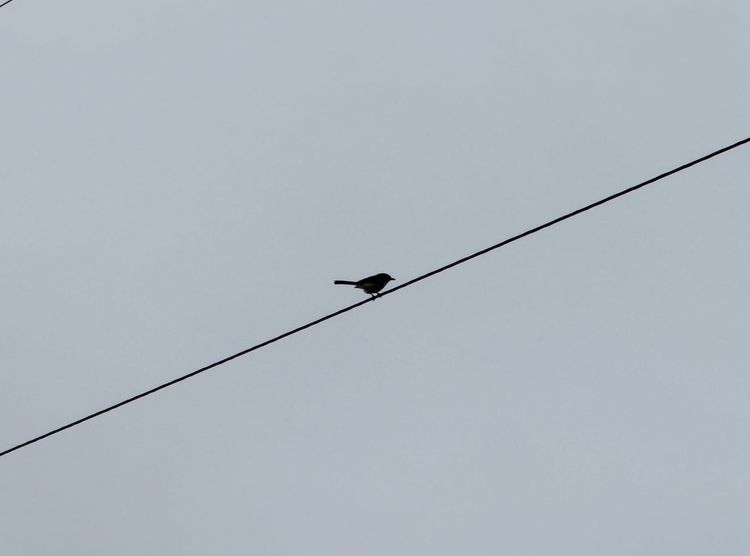 Pacific Crest Trail - Day 13