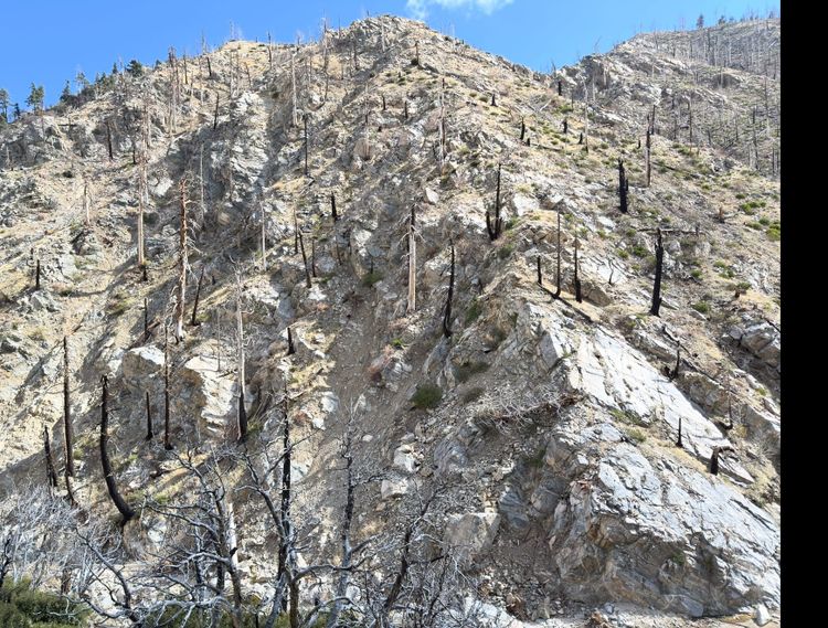 Pacific Crest Trail - Day 29