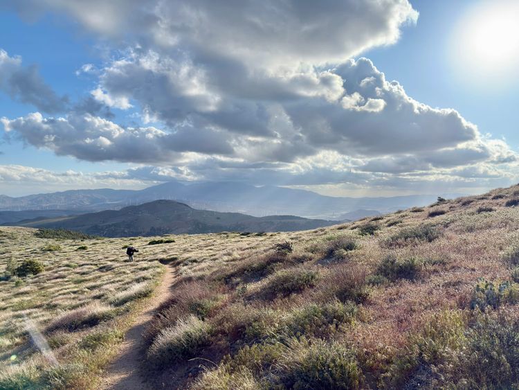 Pacific Crest Trail - Day 56 - Tehachapi and Reese Witherspoon