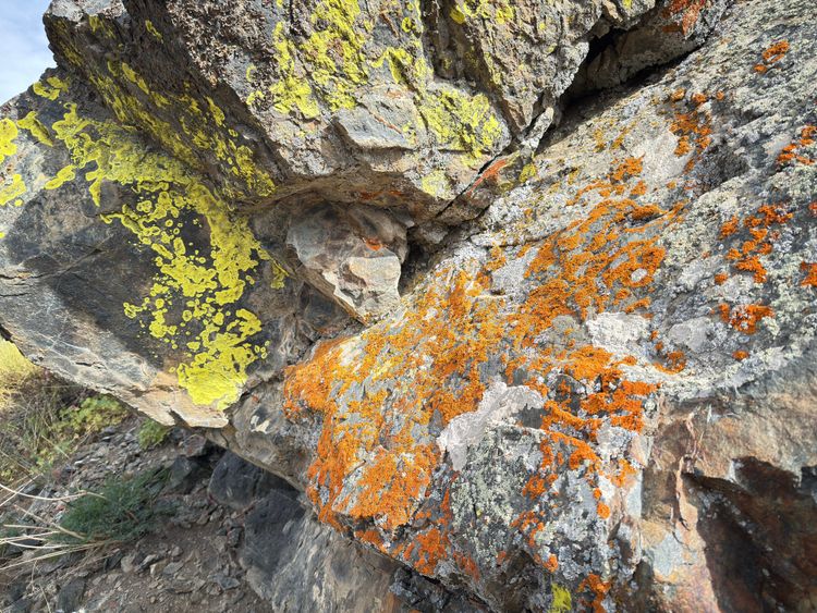 Pacific Crest Trail - Day 63