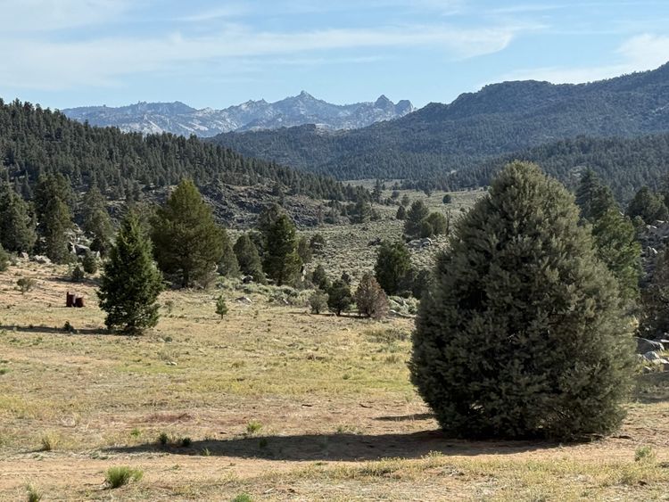 Pacific Crest Trail - Day 65 - Farewell, Desert