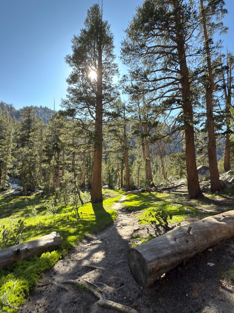 Pacific Crest Trail - Day 86 - Silver Pass