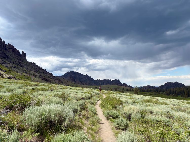 Pacific Crest Trail - Day 100