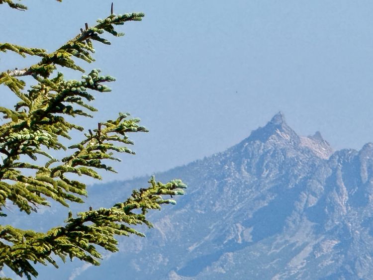 Pacific Crest Trail - Day 110 - Sierra City