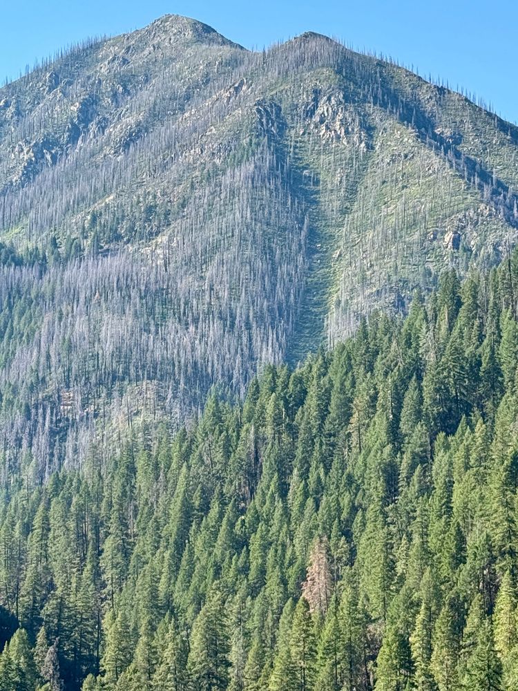 Pacific Crest Trail - Days 114-116 - Bucks Lake