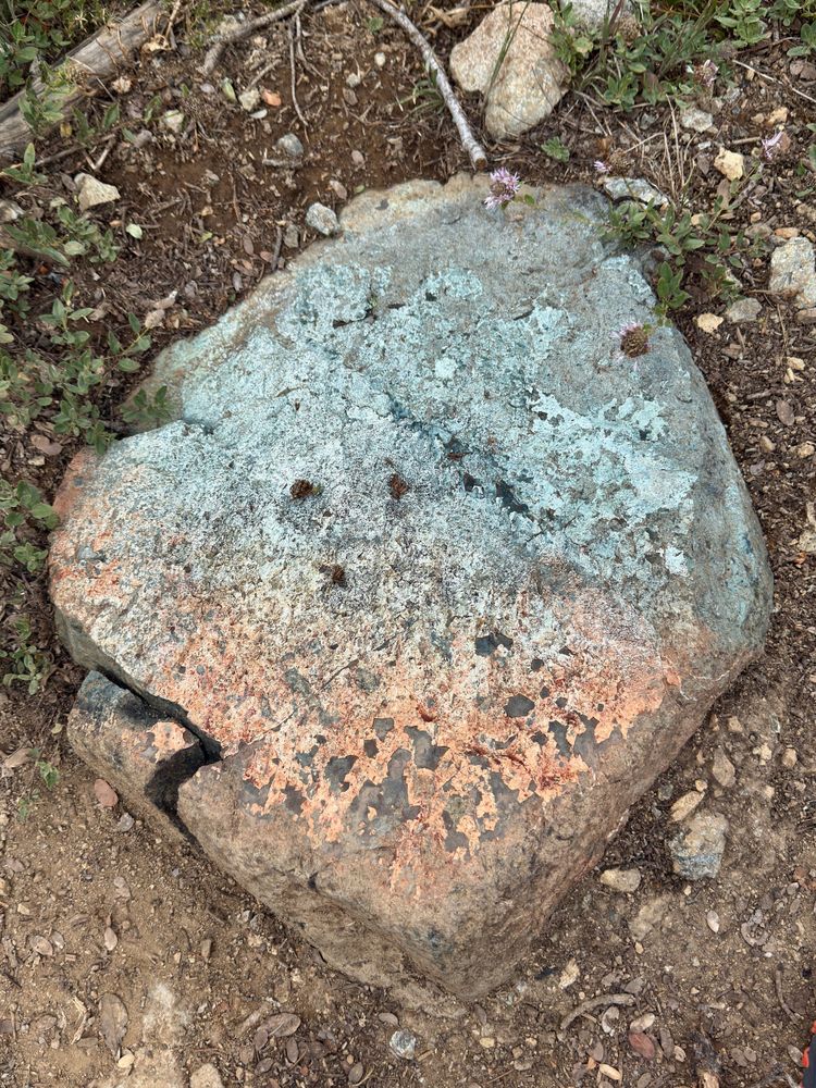 Pacific Crest Trail - Day 130 - Big Cliff Fire closure and Callahan, CA