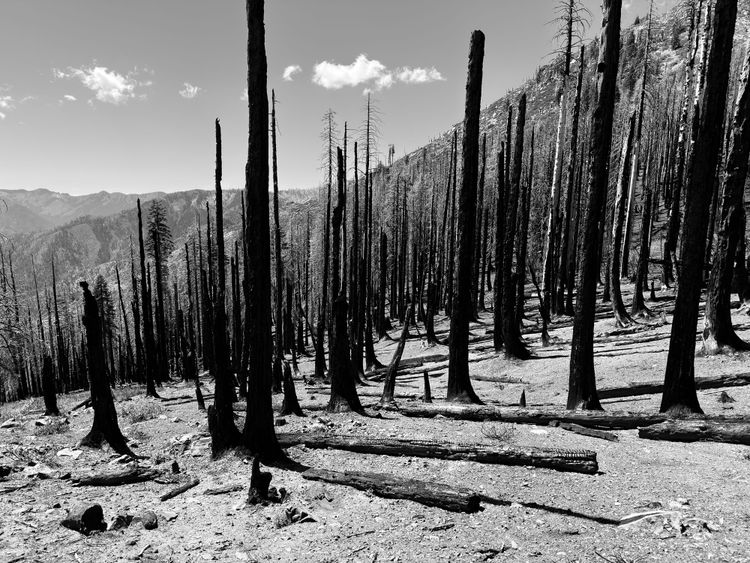 Pacific Crest Trail - Days 131 - 132 - Etna, CA