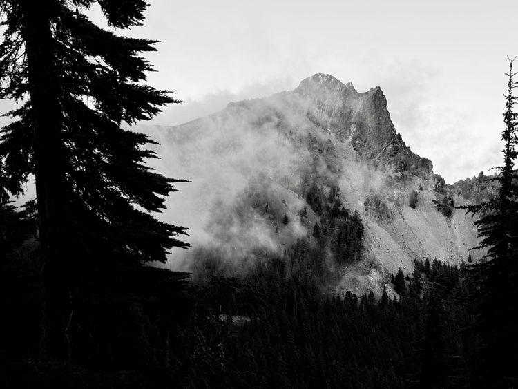 Pacific Crest Trail - Day 147 - Windigo Pass