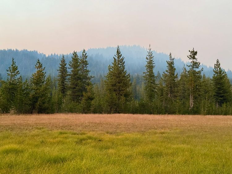 Pacific Crest Trail - Day 151 - Three Sisters Wilderness