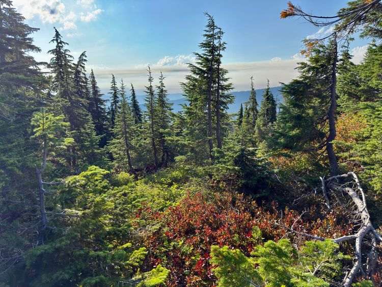 Pacific Crest Trail - Day 157 - Mt. Jefferson